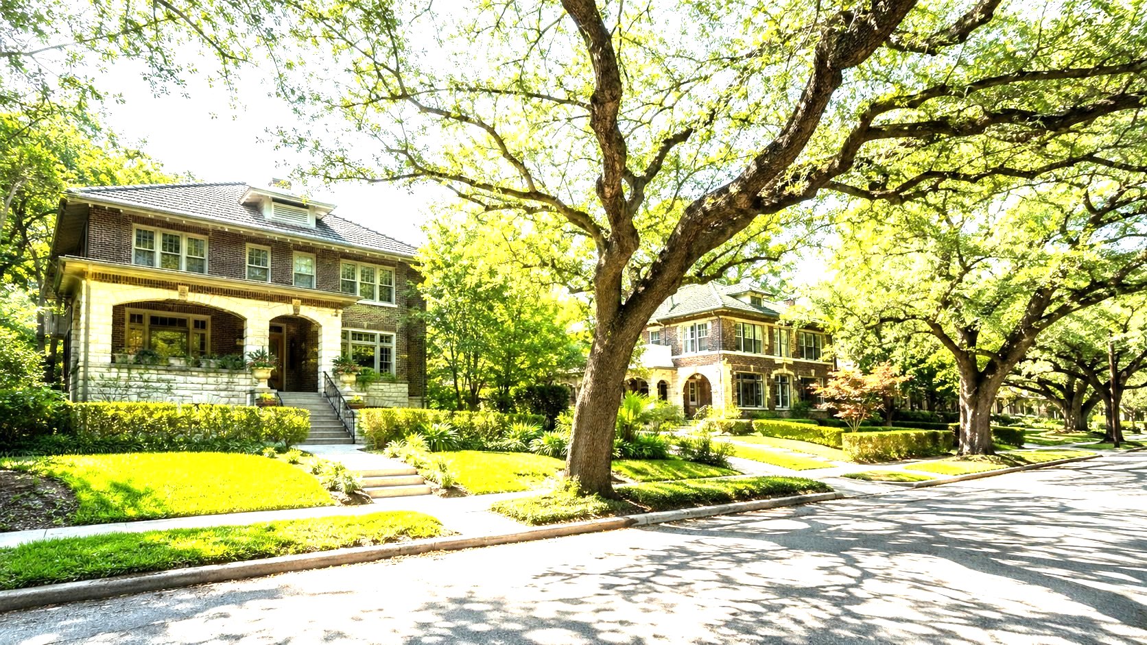 Alamo Heights homes with Bel the Realtor